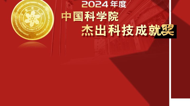 OA协同办公自动化定制开发：企业效率提升的关键路径